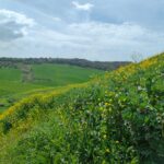 Tarquinia-colline 2