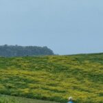 Tarquinia-panorama 1